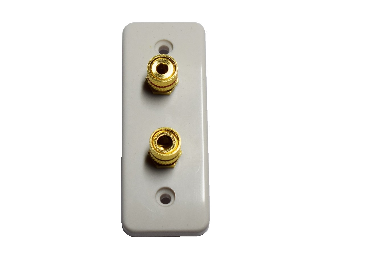 Architrave Single Speaker Wall Plate - Click Image to Close