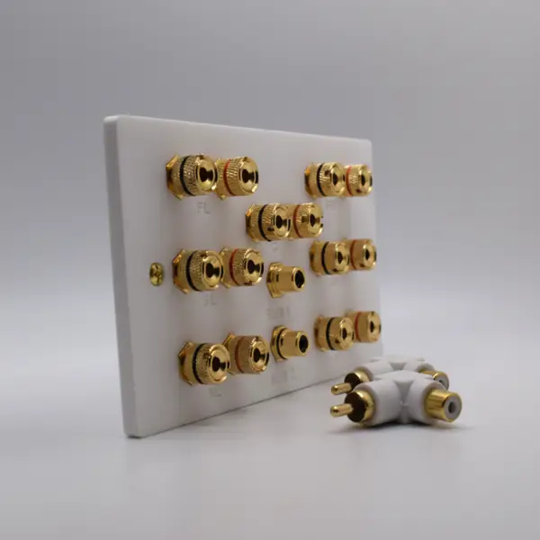 Dolby Atmos 5.1.2 / 5.2.2 Speaker Wall Plate