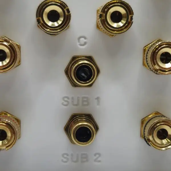 Dolby Atmos 5.1.2 / 5.2.2 Speaker Wall Plate