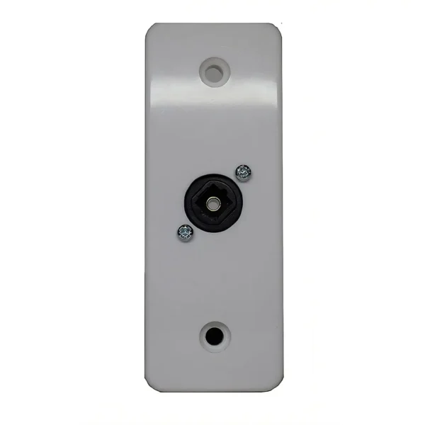 Architrave Single Optical Audio Wall Plate