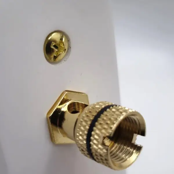 Architrave Single Speaker Wall Plate