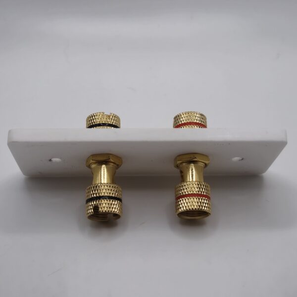 Architrave Single Speaker Wall Plate