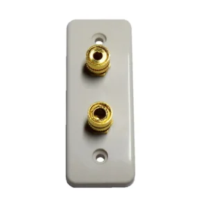 Architrave Single Speaker Wall Plate