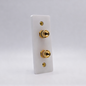 Architrave Single Speaker Wall Plate