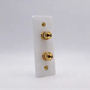 Architrave Single Speaker Wall Plate