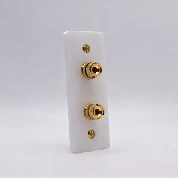 Architrave Single Speaker Wall Plate