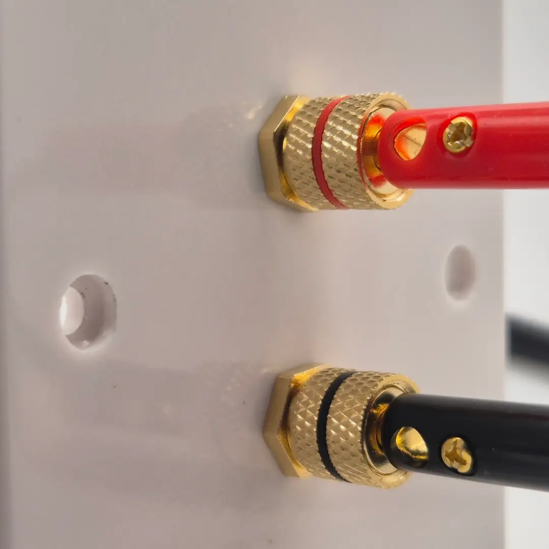 close up of 4mm banana plugs in a speaker wall plate