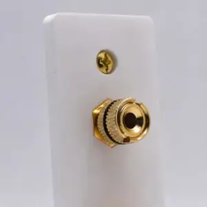 close-up picture of speaker post recessed into the plate