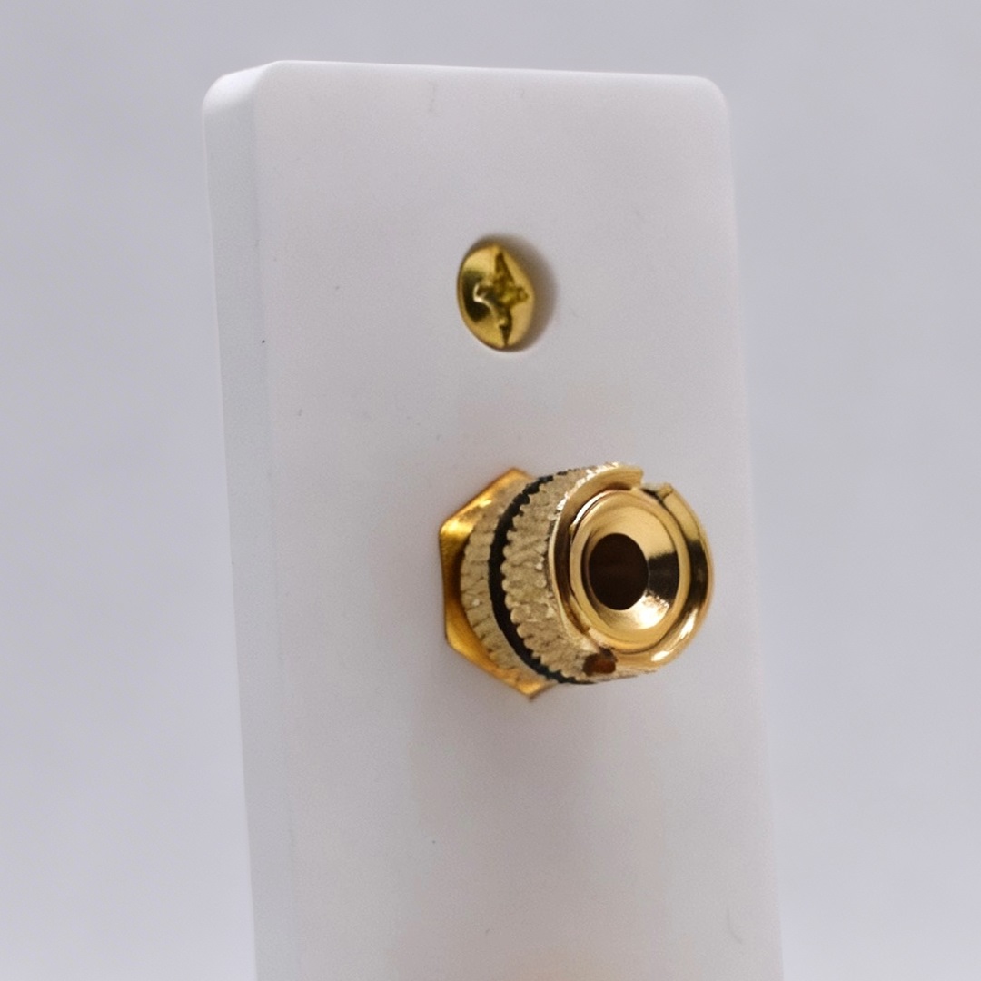 Single Speaker Architrave Wall Plate Single Speaker Architrave Wall Plate