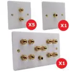 5.1 Speaker Wall Plate Set (SINGLE GANG)