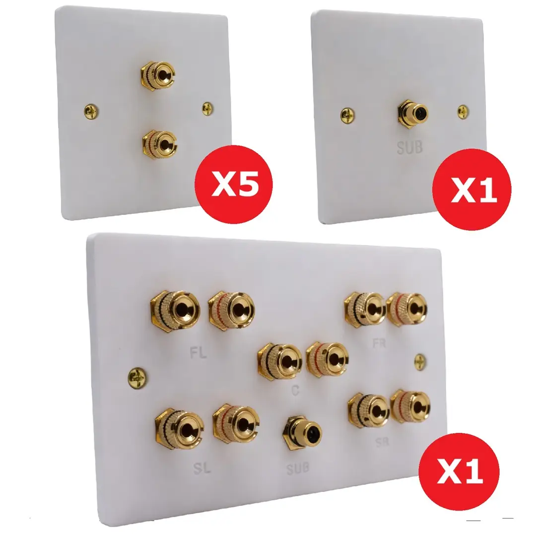 5.1 Speaker Wall Plate Set (SINGLE GANG)