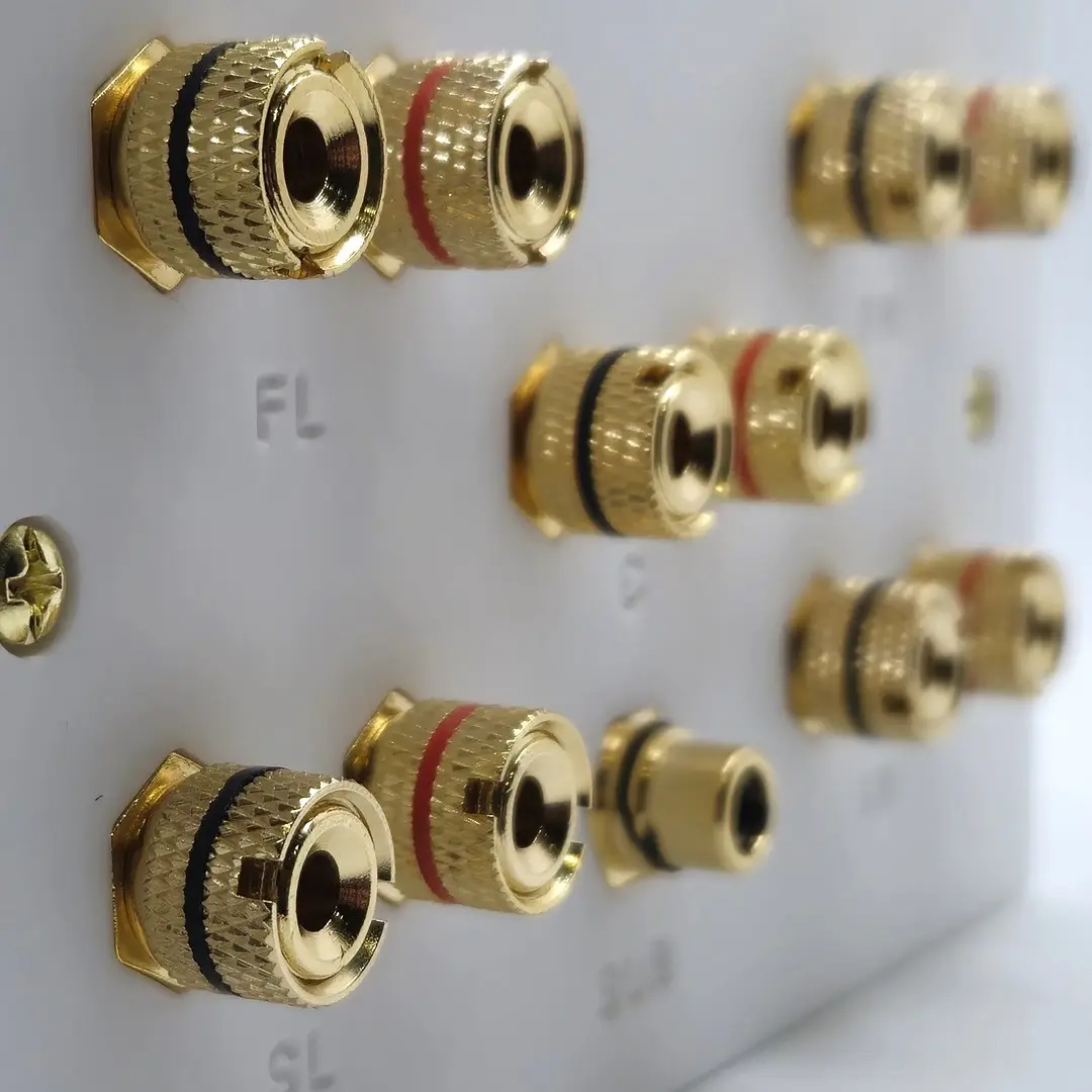 Dolby 5.1 / 5.2 Speaker Wall Plate