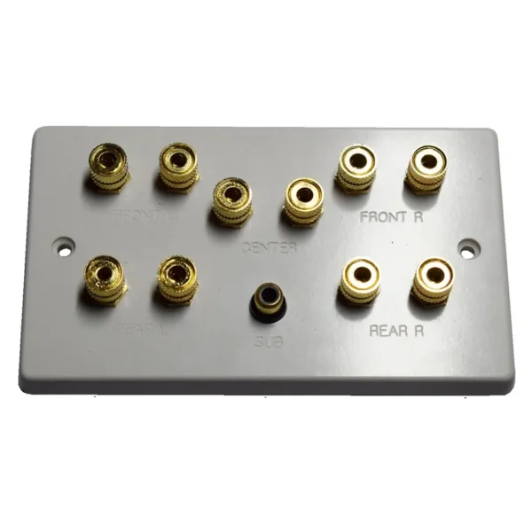 Dolby 5.1 Speaker Wall Plate