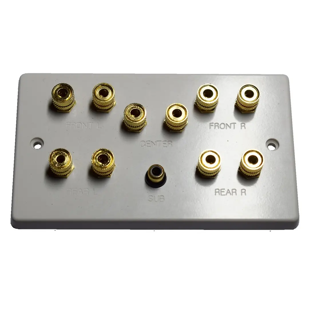 MSG 5.1 Matt Black Speaker Wall Plate – 10 Gold Binding Posts & Single RCA Socket