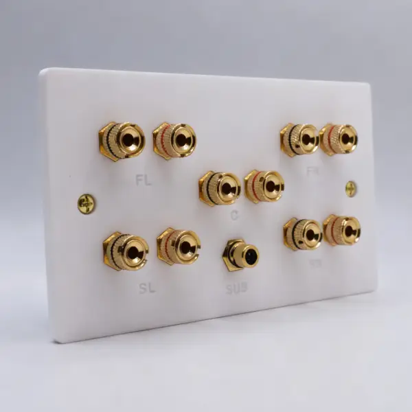 Dolby 5.1 / 5.2 Speaker Wall Plate Dolby 5.1 / 5.2 Speaker Wall Plate