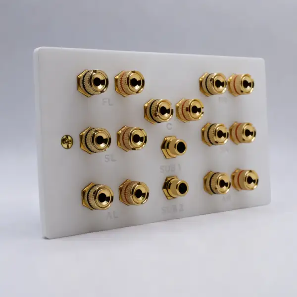 Dolby Atmos 5.1.2 / 5.2.2 Speaker Wall Plate