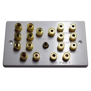 Double Gang Dolby Atmos 5.1.4 Speaker Wall Plate