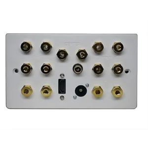 Home Cinema AV Receiver Speaker, Audio & HDMI Connection Plate