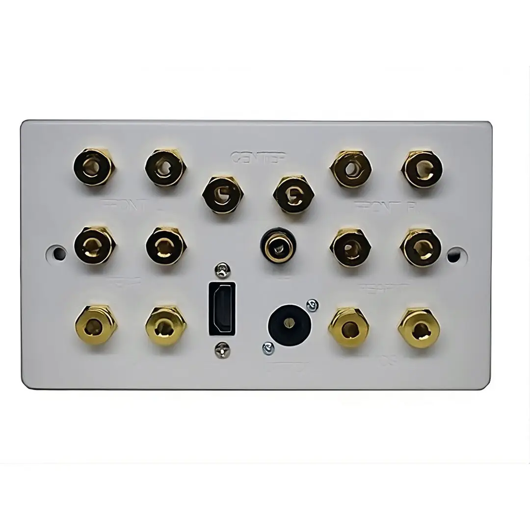 Home Cinema AV Receiver Speaker, Audio & HDMI Connection Plate