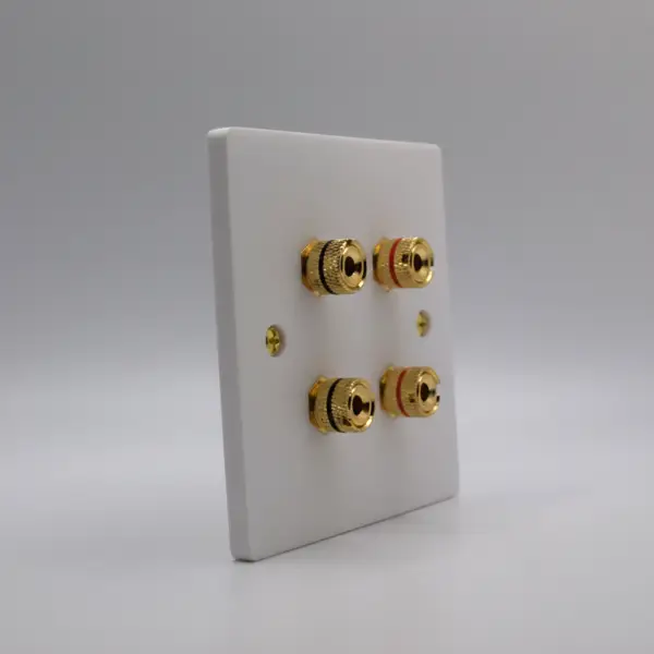 Single Gang Twin Speaker Wall Plate
