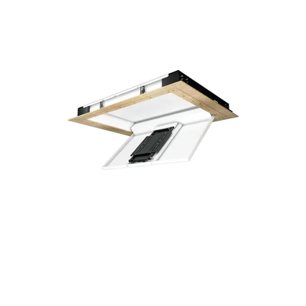 Future Automation CHRT Ceiling Hinge & Telescope