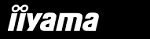 iiyama