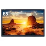65" ActivPanel 10 Point Interactive Panel
