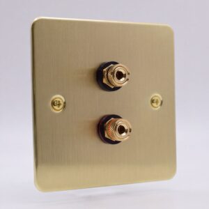 single gang brass wall plate with a single speaker connection