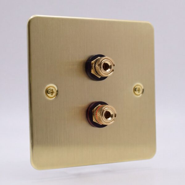 Single Gang Speaker Wall Plate Single Gang Speaker Wall Plate