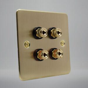 a brushed brass twin speaker wall plate