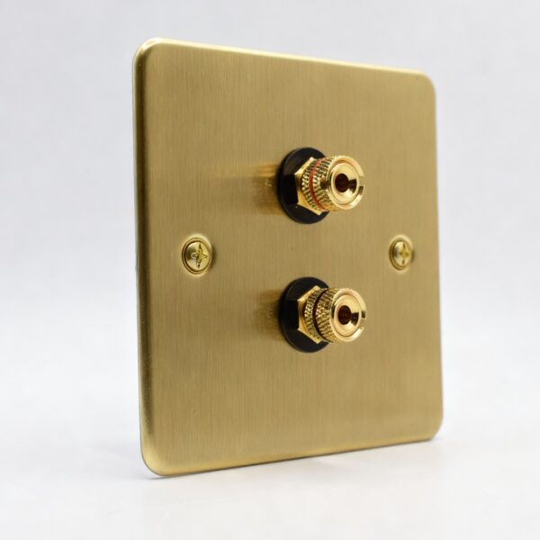 Single Gang Speaker Wall Plate