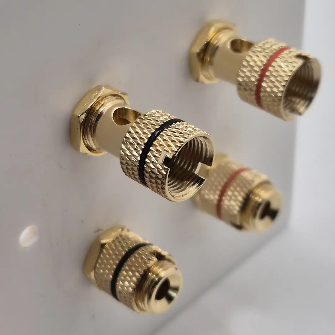 Single Gang Twin Speaker Wall Plate