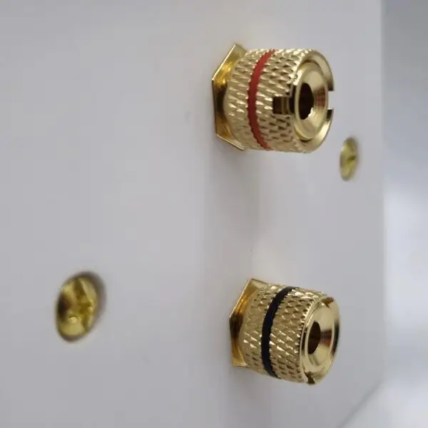 Single Gang Speaker Wall Plate