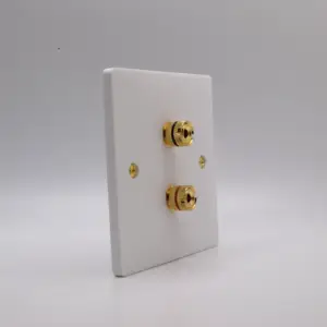 single speaker wall plate