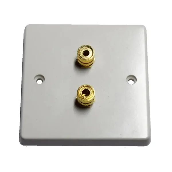 Single Gang Speaker Wall Plate