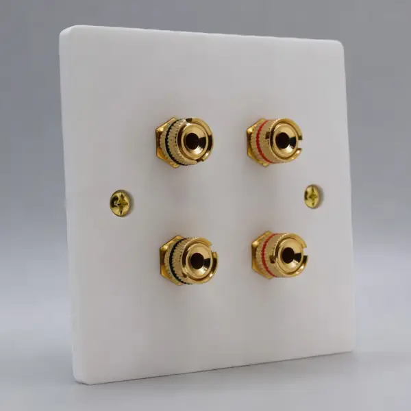 Single Gang Twin Speaker Wall Plate
