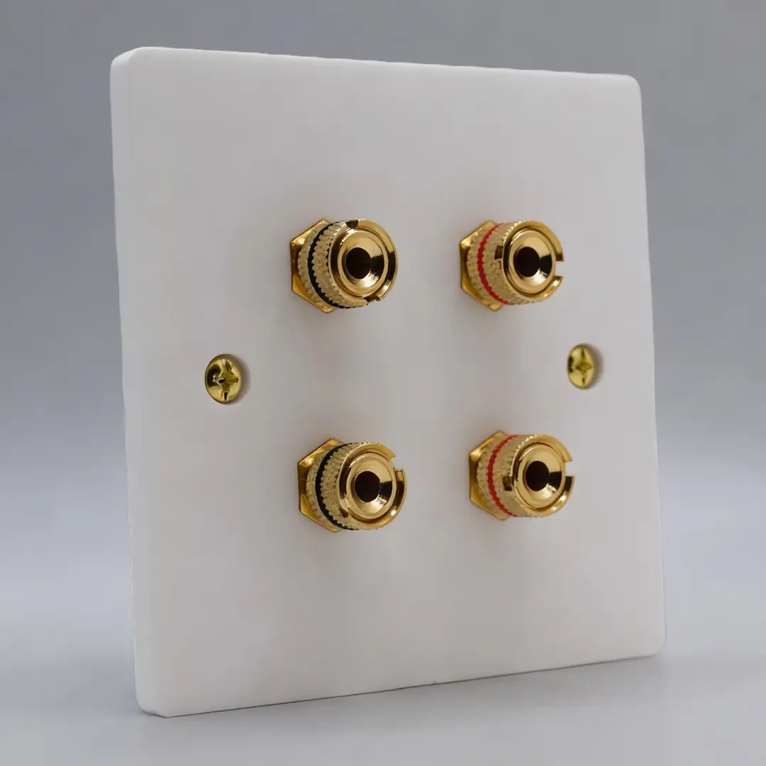 Single Gang Twin Speaker Wall Plate