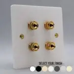 Single Gang Twin Speaker Plate
