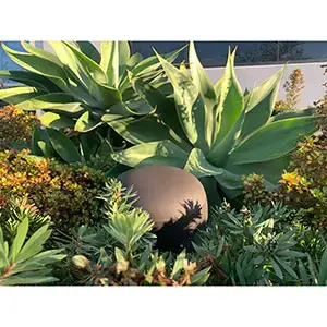 SONANCE OMNI-6T PRO SERIES OMNI-DIRECTIONAL SPEAKER SONANCE OMNI-6T PRO SERIES OMNI-DIRECTIONAL SPEAKER