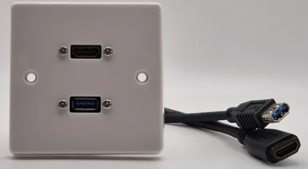 HDMI & USB Wall Plate HDMI & USB Wall Plate