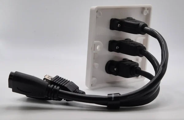 Dual HDMI & USB Wall Plate