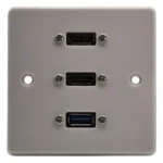 Dual HDMI & USB Wall Plate