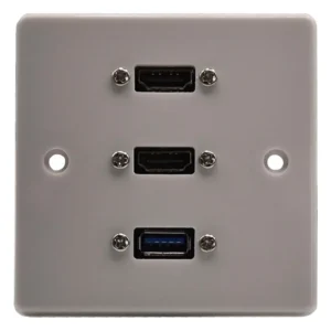 Dual HDMI & USB Wall Plate