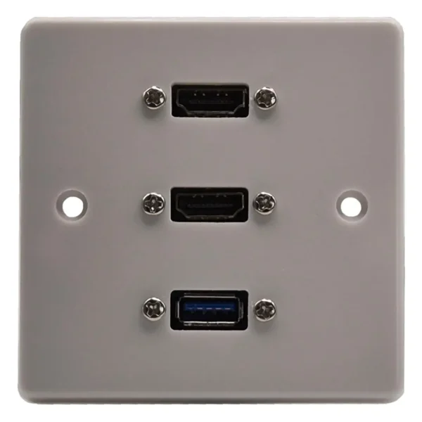 Dual HDMI & USB Wall Plate