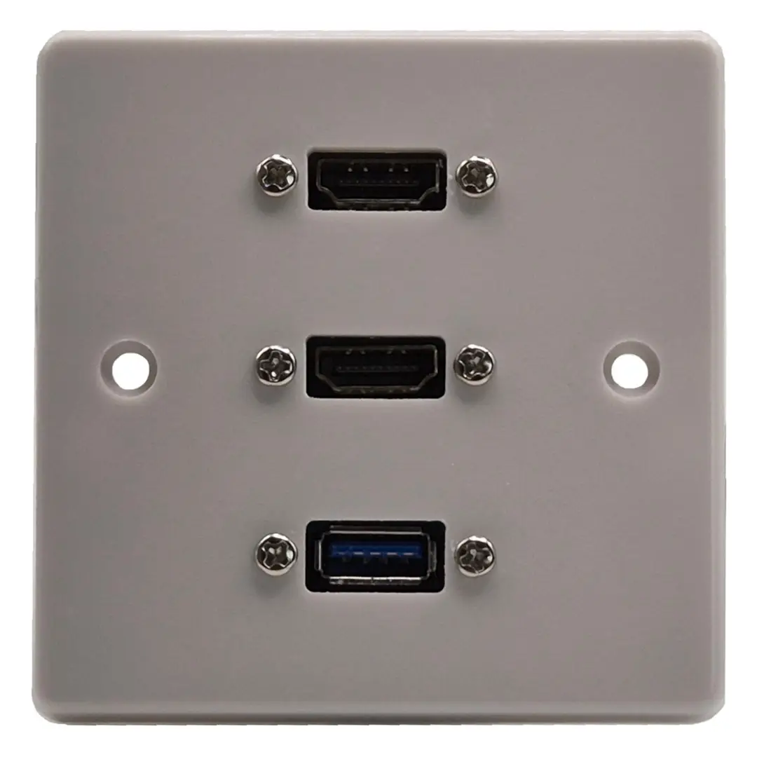 Dual HDMI & USB Wall Plate