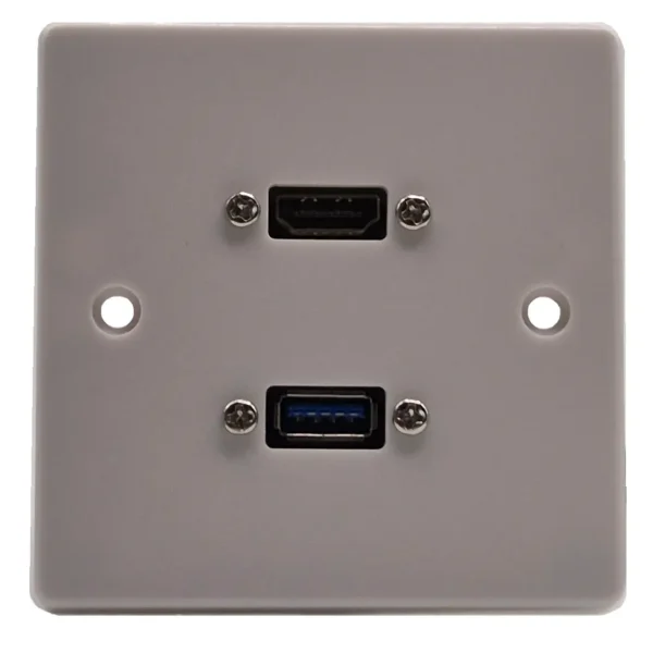 HDMI & USB Wall Plate HDMI & USB Wall Plate