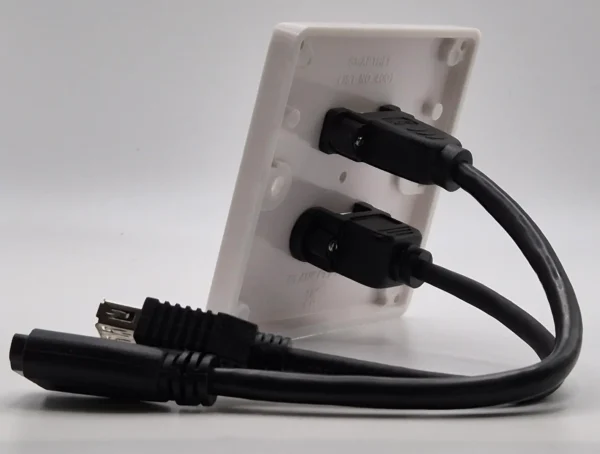 HDMI & USB Wall Plate HDMI & USB Wall Plate