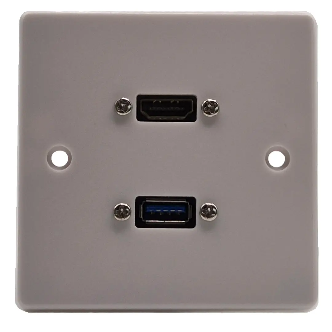 HDMI & USB Wall Plate