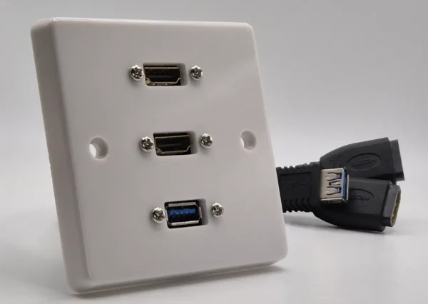 Dual HDMI & USB Wall Plate