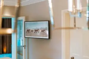 samsung frame tv mount adaptor plate